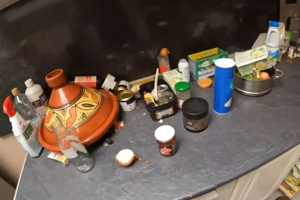 cafards locataire ou propriétaire