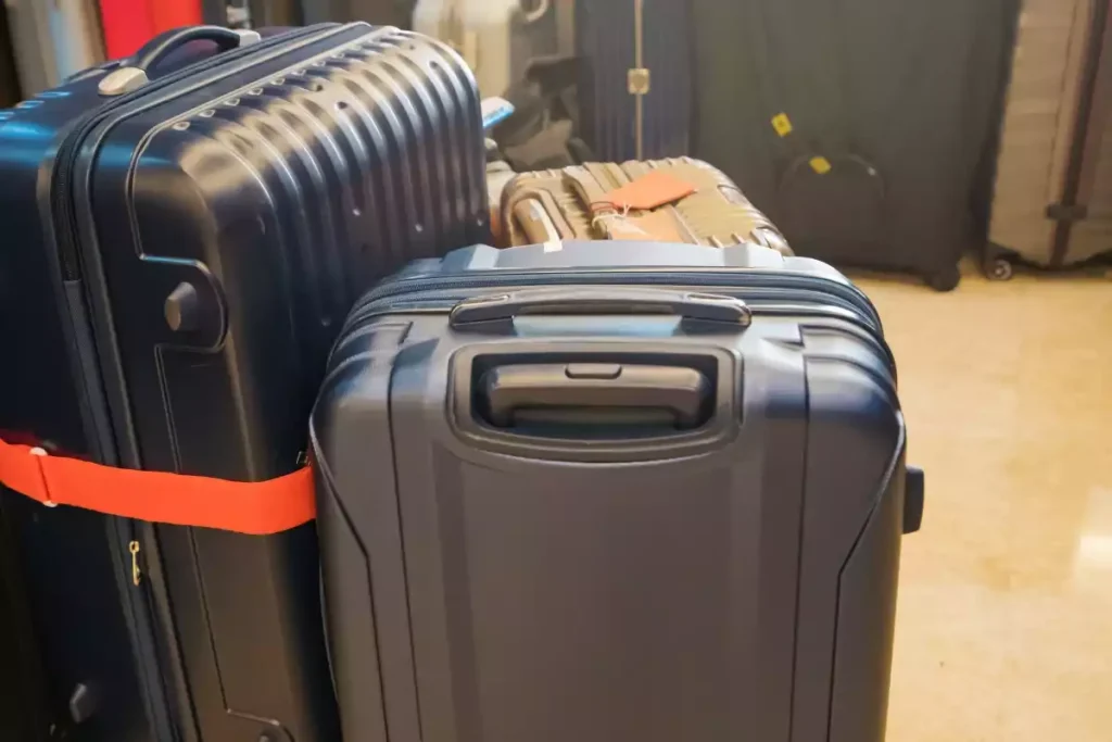 comment ne pas ramener des cafards en voyage