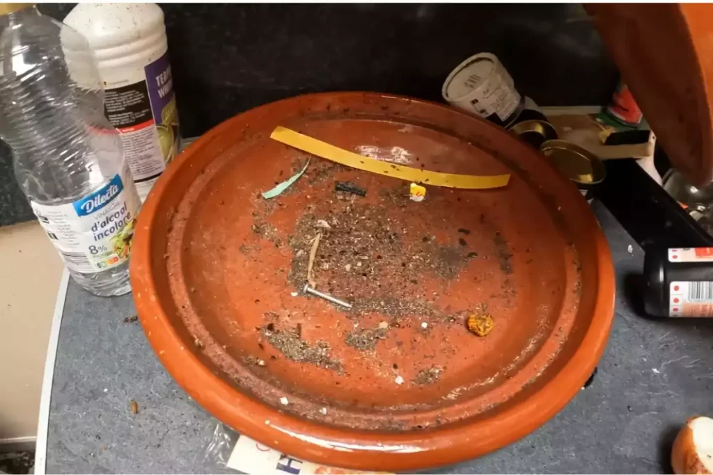 présence cafard locataire ou propriétaire