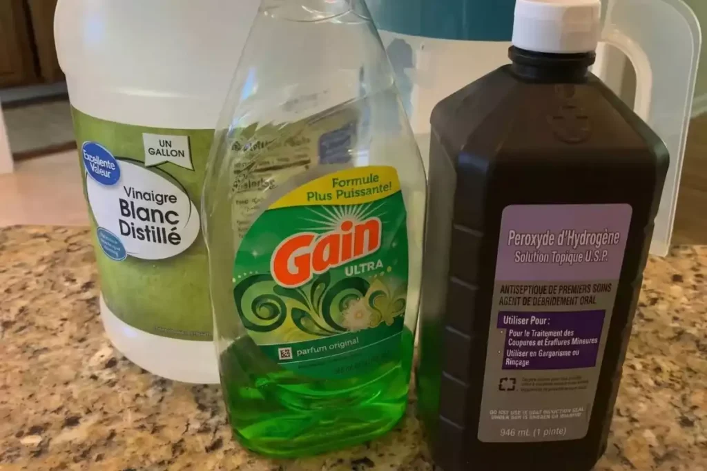 alternative produit bissell shampouineuse