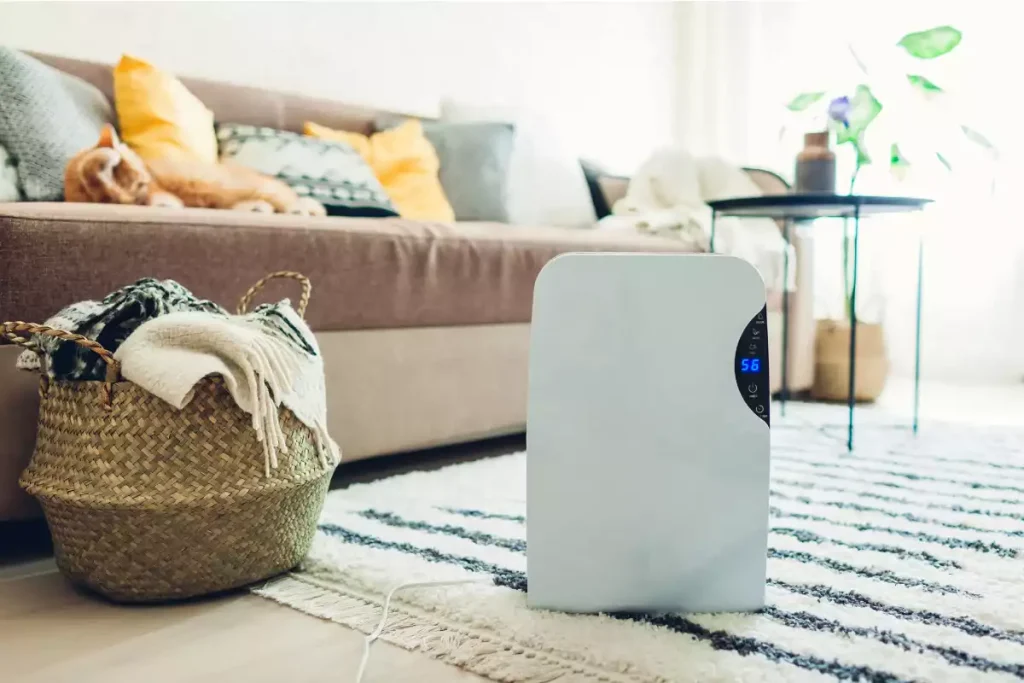 Humidificateur ou purificateur : différence